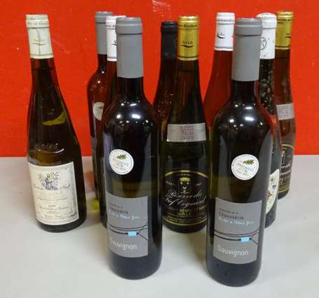 11 Bts vins de Loire dont Sauvignon, Muscadet 