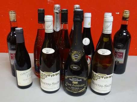 12 Bts vins de Loire comprenant Menetou-Salon 