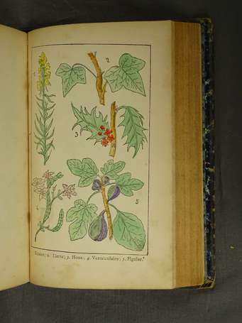 [PLANTES MÉDICINALES] - DURAND-CAUBET (J.-A.) - 