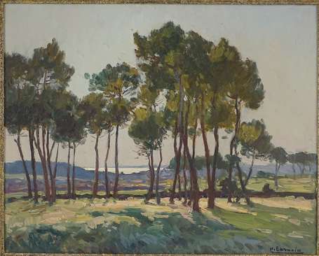 BARNOIN Henri (1882-1940) - Etude de pins. Huile 