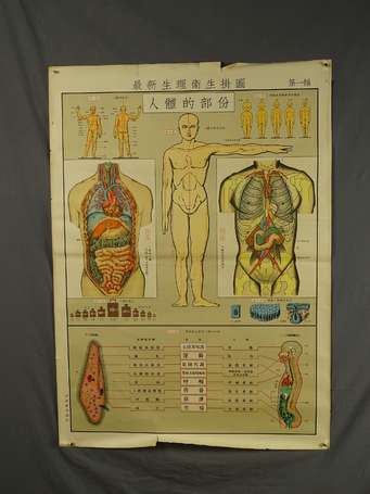 CHINE - 7 affiches de médecine éducatives 