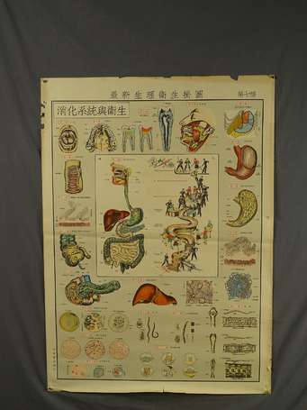 CHINE - 7 affiches de médecine éducatives 