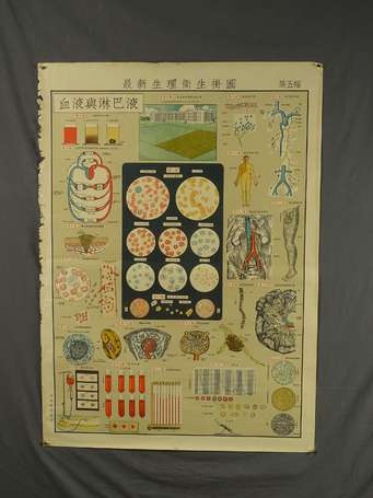 CHINE - 7 affiches de médecine éducatives 