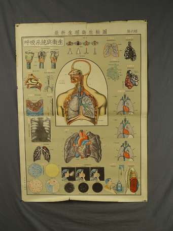 CHINE - 7 affiches de médecine éducatives 