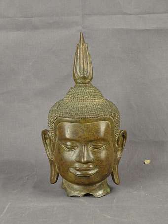 Tête de  Bodhisattva en bronze. Asie du sud-est H.