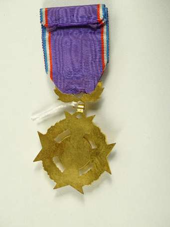Civ - Médaille de l'académie du dévouement 