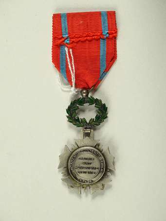 Civ - Médaille de l'académie d'intéret public