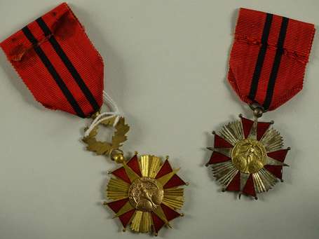 Civ - Deux médailles de la justice (2 grades)