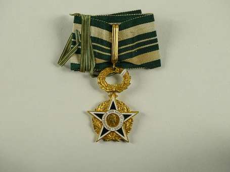 Civ - Médaille de la reconnaissance des arts et 