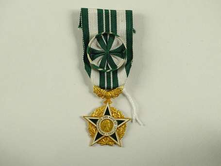 Civ - Médaille de la reconnaissance des arts et 