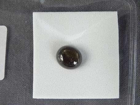 Cabochon de saphir noir étoilé 4,23 ct