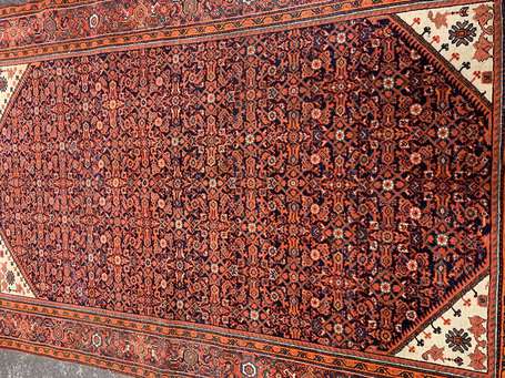 Tapis Sarouk (chaîne et trame en coton, velours en