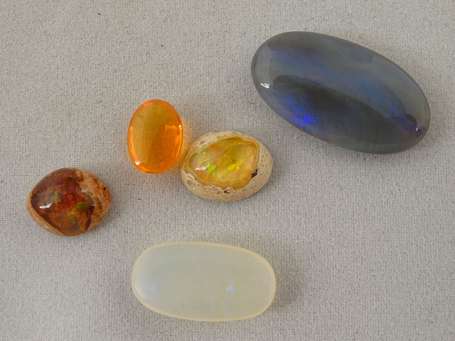 5 cabochons d'opale : 1 de feu ovale de 1,59 cts, 