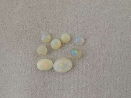 8 cabochons d'opale blanche : 1 de 0,80 cts, 1 de 