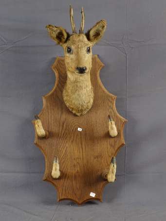 Trophée de chasse porte fusil avec tête de biche 