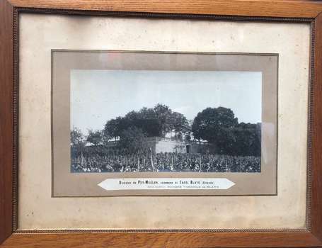 33 - Gironde , Commune de Cars , Blaye - Domaine 