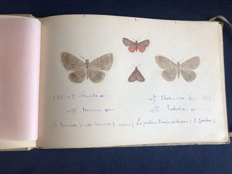 Etude des Papillons - Rare carnet d'environ 110 