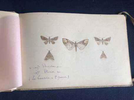 Etude des Papillons - Rare carnet d'environ 110 