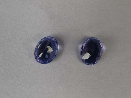 Paire de Tanzanites ovales sur papier Ensemble 