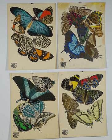 SÉGUY, Émile Alain (1877-1945). Papillons. 4 