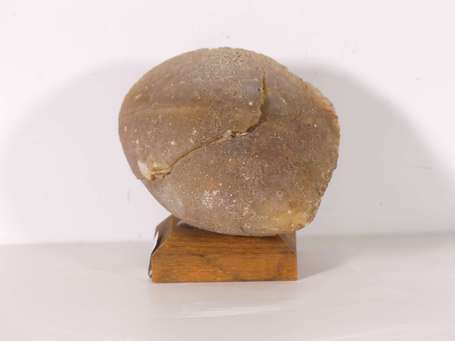 Géode d'agate. L. 9 cm, l. 8 cm, P. brut 520 g