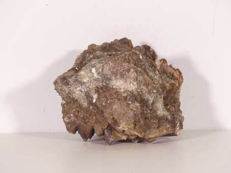 Calcite dent de chien. H. 9,5 cm, L. 8,5 cm, P. 