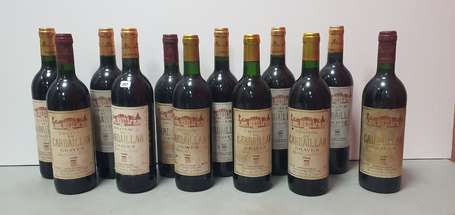 Lot de 12 bouteilles Château de Cardaillan, Graves