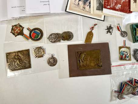 1914/1918 Importante collection d'insignes de 