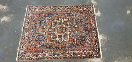 Tapis Bakthiar (chaine et trame en coton, velours 