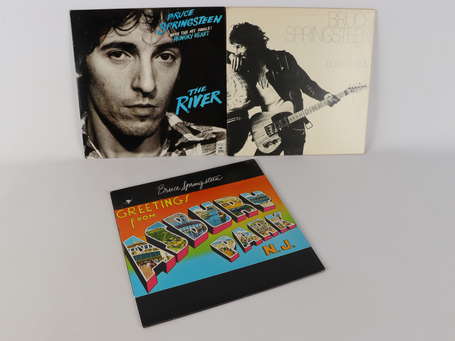 3 Disques : BRUCE SPRINGSTEEN - Greetings From 