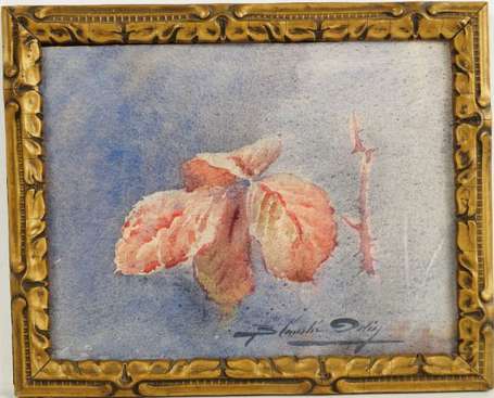 Odin Blanche 1865-1957 Feuille de rosier Aquarelle