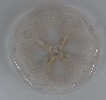 Lalique Assiette Coquilles en verres opalescent 