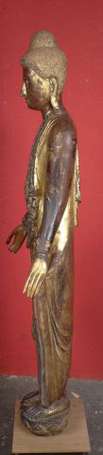 Bouddha debout en bois sculpté laqué et doré à 
