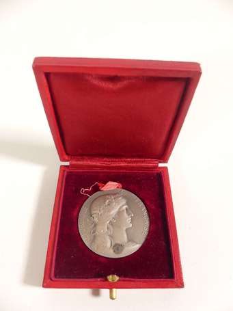 Médaille de table - Ministère de la Guerre, soins 
