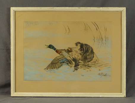 RIAB Boris (1898-1975) - Griffon korthal et canard