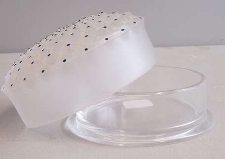 Lalique. Partie de garniture de toilette 