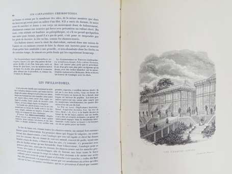 BOITARD - Le jardin des plantes. Description et 