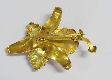 Broche en or jaune 18K (750°/00) à motif d'une 