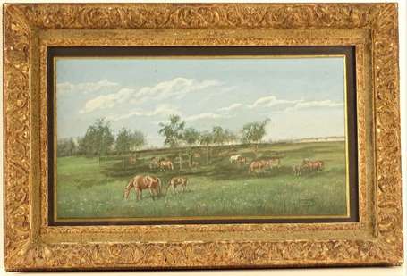 SWERTSCHKOFF Georges (de) (1872-1957) - Chevaux 