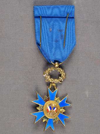 Ordre National du Mérite, grade officier dans son 
