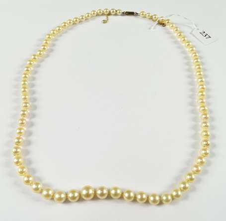 Collier de perles de culture en chute, fermoir en 