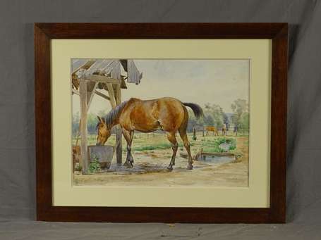 PALM DE ROSA Anna (1859-1924) Cheval s'abreuvant 