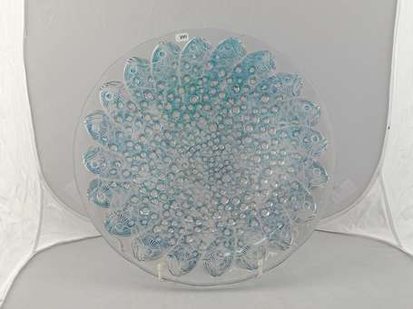 LALIQUE -  modèle Roscoff - Coupe en verre moulé 