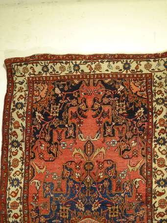 Tapis Véramine (chaîne et trame en coton, velours 