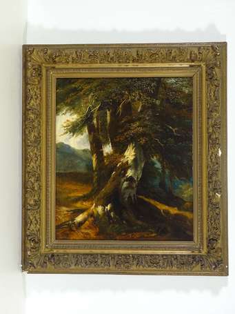 CALAME Alexandre (1810-1864) - L'Arbre. Huile sur 