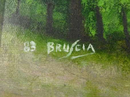 BRUSCIA Xxé 