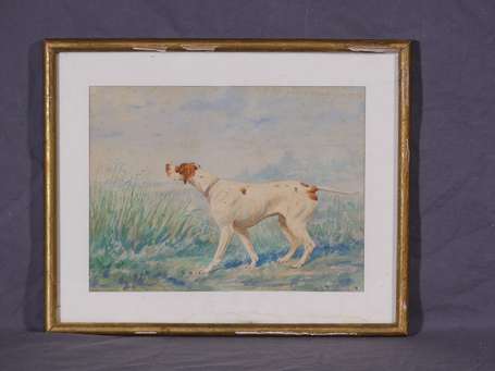 THEVENIN Henri (1870-1940) - Pointer. Aquarelle, 