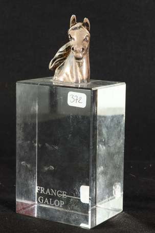 Trophée Protomé de cheval en bronze argenté sur 