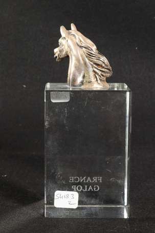 Trophée Protomé de cheval en bronze argenté sur 