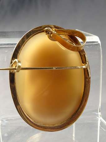 Broche pendentif en or jaune 18 k (750°/°°) 